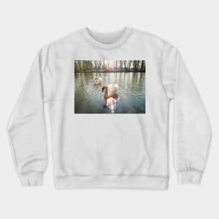 white swans Crewneck Sweatshirt